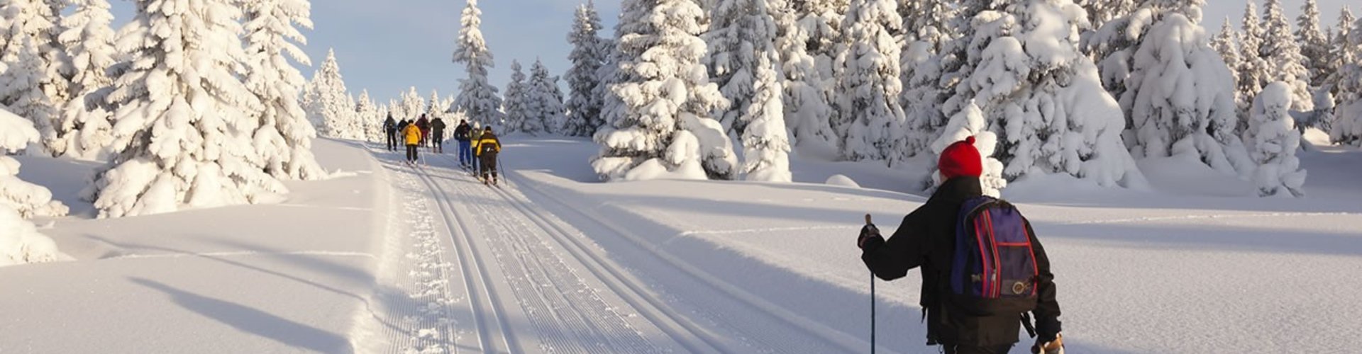 langlaufen-klassisch-gross