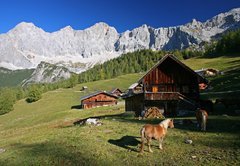 sommerimpressionen-152051