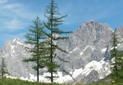 ramsau-dies-jenes-sommer-438343