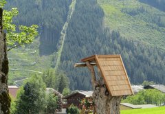 ramsau-dies-jenes-sommer-438367