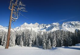 Winter in der Ramsau