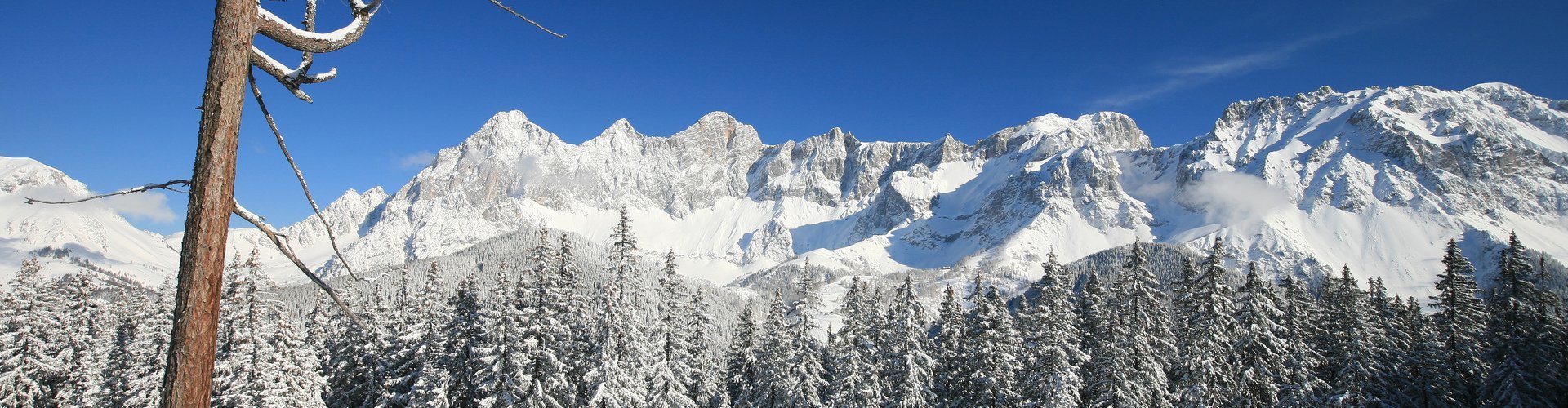 Andreas Perner Foto Raffalt (82)