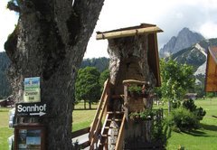 ramsau-dies-jenes-sommer-438364 ramsau-dies-jenes-sommer-438364