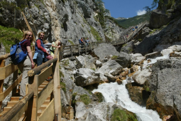 Silberkarklamm